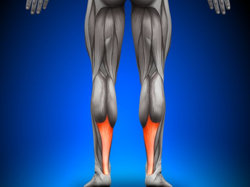 Achillessehnen-Verletzung Badminton